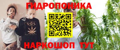 ECSTASY Камышлов