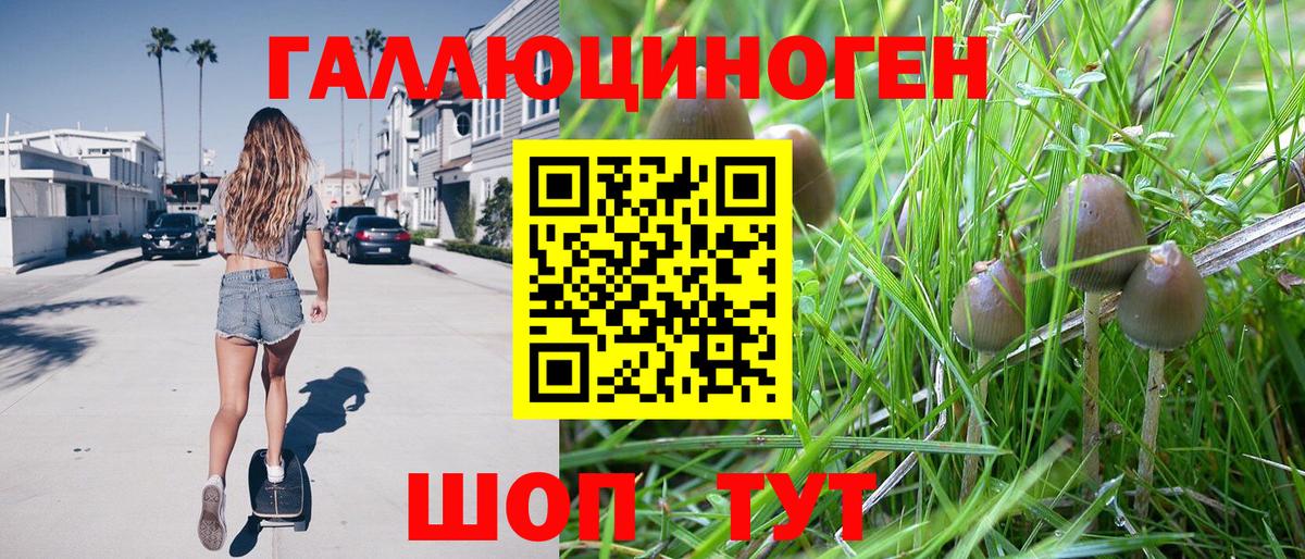 Псилоцибиновые грибы ЛСД  Вход с VPN  Кузнецк  Галлюциногенные грибы MAGIC MUSHROOMS 