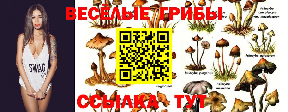 Галлюциногенные грибы Magic Shrooms Кузнецк