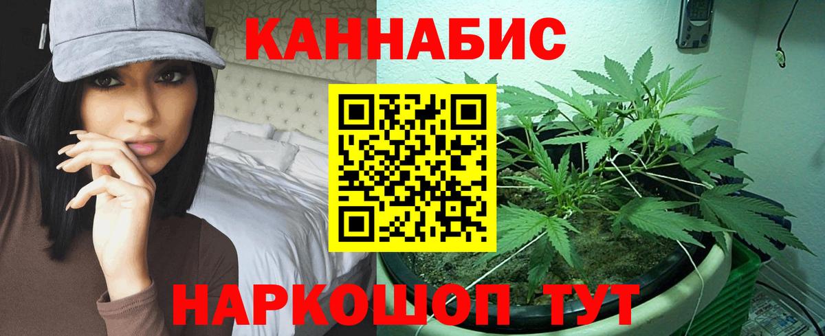 Канабис план  Вход с VPN  Марихуана AK-47  Бошки Шишки планчик  Кузнецк  Каннабис гибрид 