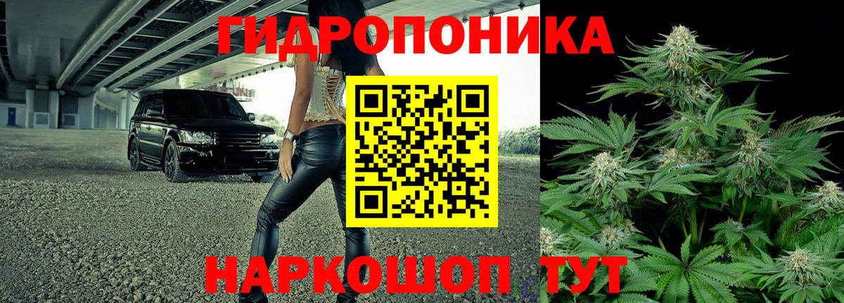 Конопля индика Кузнецк